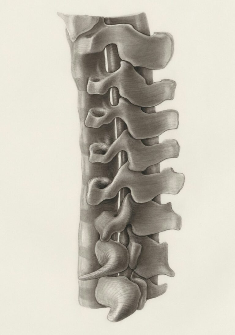 Photo by Europeana on Unsplash